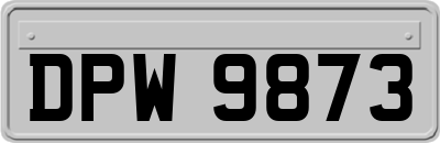 DPW9873