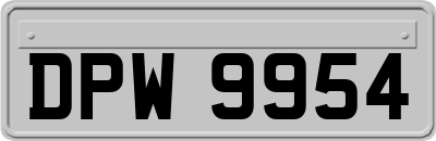 DPW9954