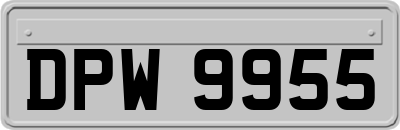 DPW9955