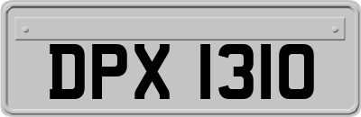 DPX1310