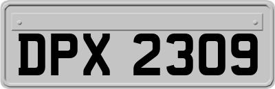 DPX2309