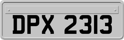 DPX2313