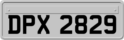 DPX2829