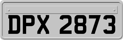 DPX2873