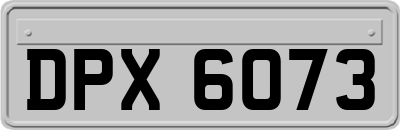 DPX6073