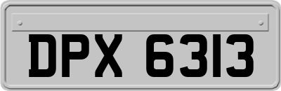DPX6313