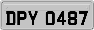 DPY0487