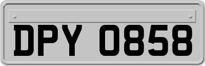 DPY0858