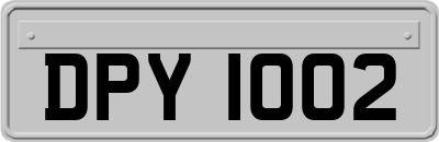 DPY1002