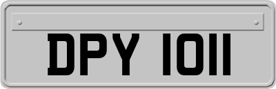DPY1011