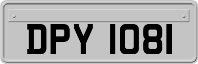 DPY1081