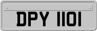 DPY1101