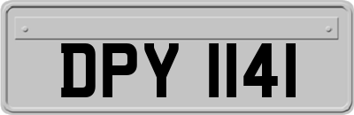 DPY1141