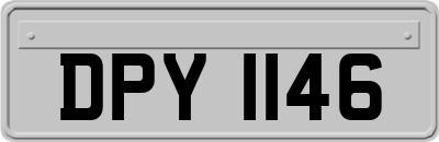DPY1146