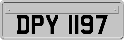 DPY1197