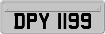 DPY1199