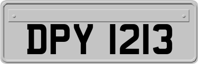 DPY1213