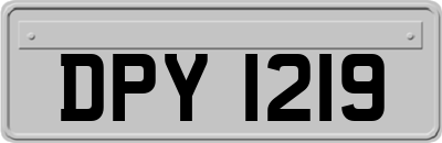 DPY1219