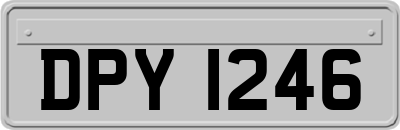 DPY1246