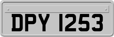 DPY1253