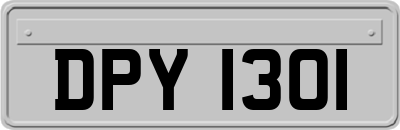 DPY1301