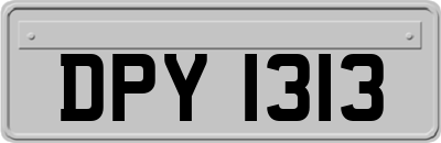 DPY1313