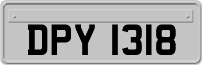 DPY1318