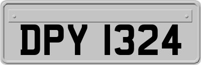 DPY1324