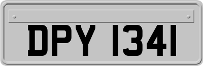 DPY1341