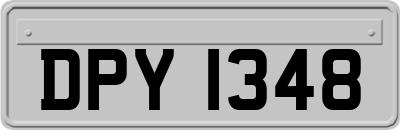 DPY1348