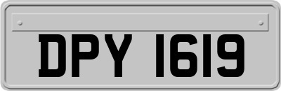 DPY1619