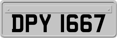 DPY1667