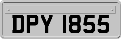 DPY1855