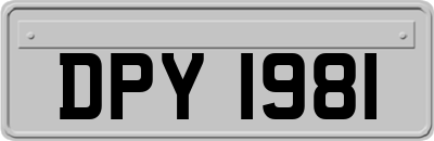 DPY1981