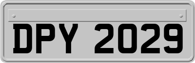 DPY2029