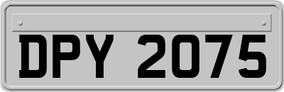 DPY2075