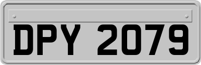 DPY2079