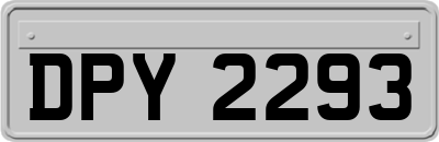 DPY2293