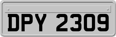 DPY2309