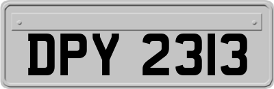 DPY2313