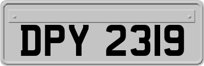 DPY2319
