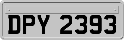 DPY2393