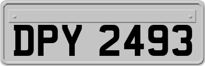 DPY2493