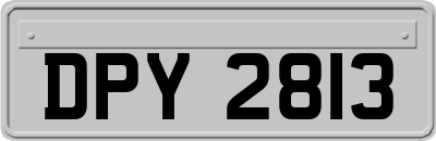 DPY2813