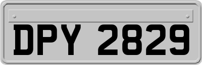 DPY2829