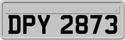 DPY2873