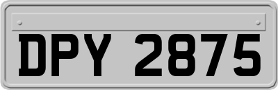 DPY2875