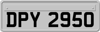 DPY2950