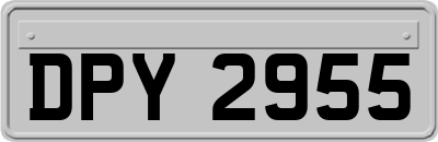 DPY2955