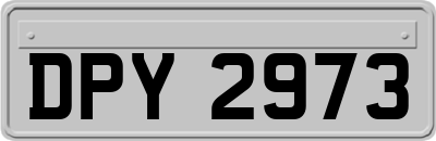 DPY2973